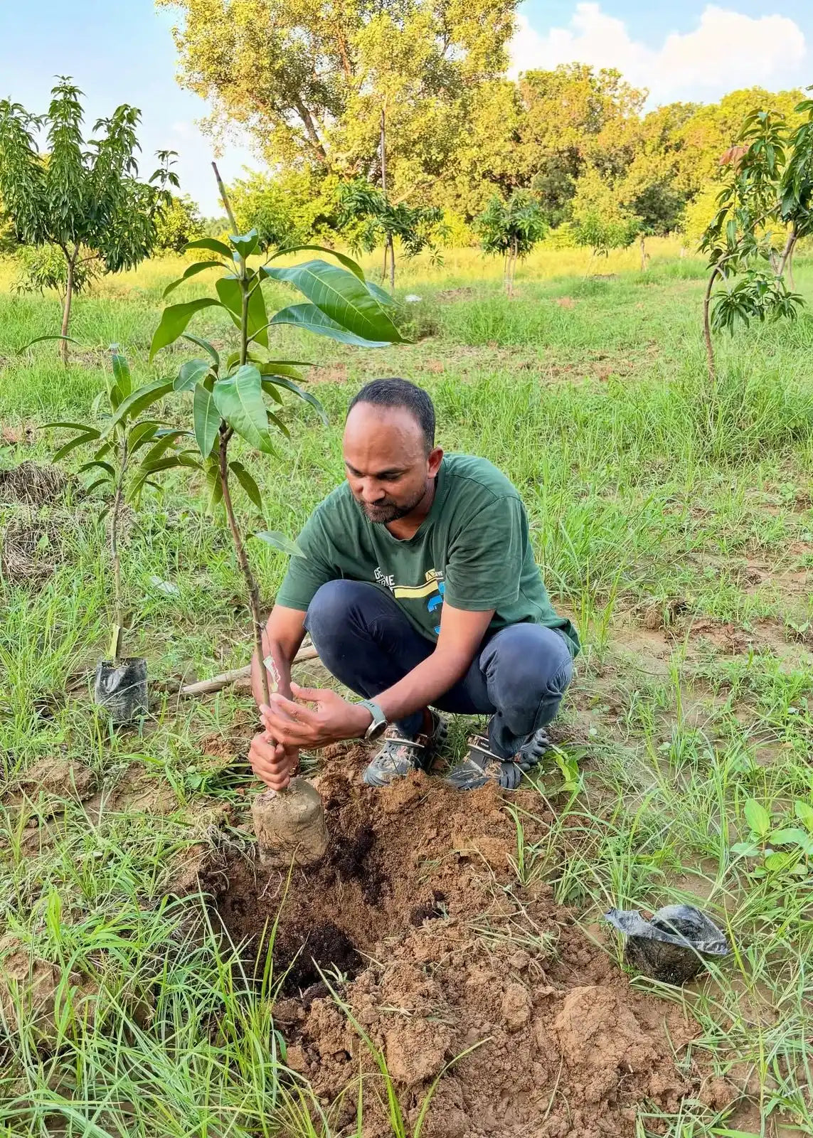 STDIAM Tree Planting Initiative - 10 Trees Planted per Order