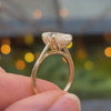 Luise Oval Solitaire Tulip Hidden Halo Moissanite Ring